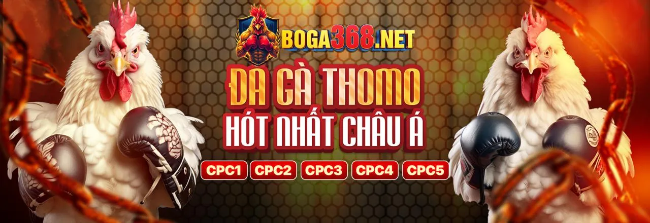 Màn hình hiển thị cá cược trực tiếp với số liệu thống kê thay đổi theo thời gian thực